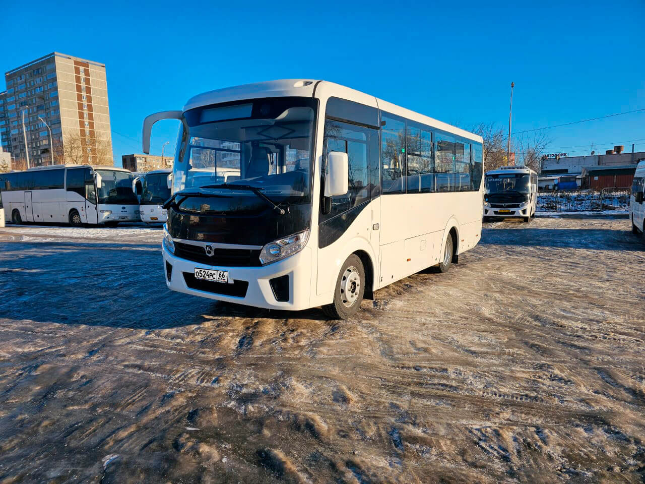 ПАЗ Вектор Next аренда