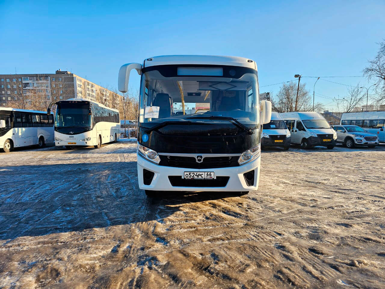 ПАЗ Вектор Next аренда